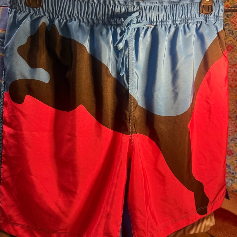 Puma Men's Pink and Blue Swim Shorts